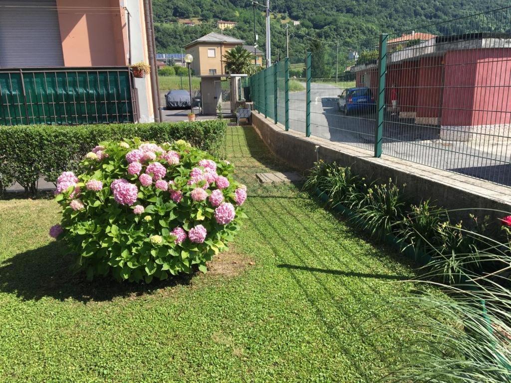 Big Family Bed & Breakfast Suello Exterior foto